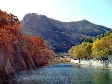 新澳天天开奖资料大全旅游团，美国种马